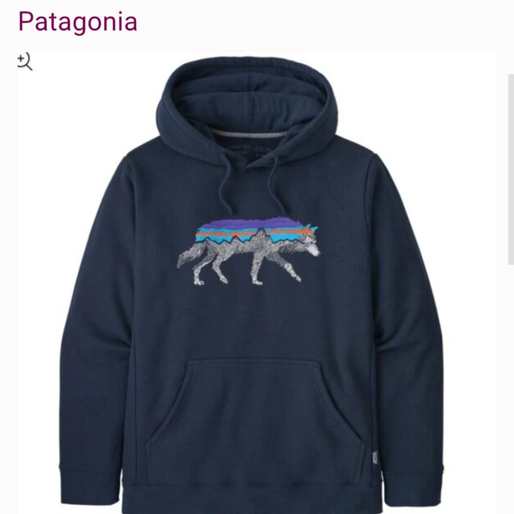 Patagonia hoodie
